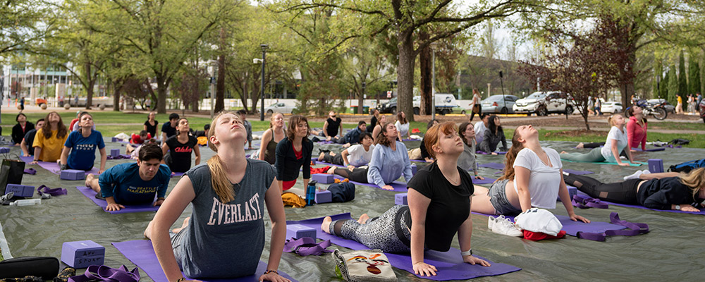 Students participate in Yoga classes on University Avenue.