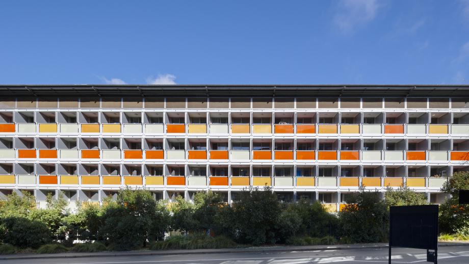 Laurus Wing - 1